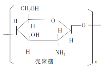 優(yōu)異的止血材料—殼聚糖