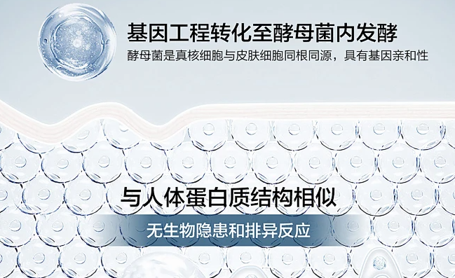 GMP認(rèn)證+98%同源性！湖南微肽重組膠原蛋白凝膠，定義醫(yī)用修復(fù)新標(biāo)準(zhǔn)